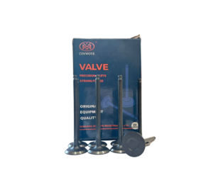 Válvula de Admisión de Motor K3-VE